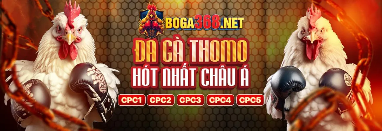 Sân đấu đá gà kịch tính tại dh88 code