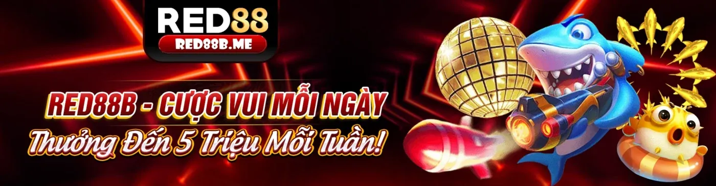 Hình ảnh đại diện về dh88 code và tầm nhìn của chúng tôi